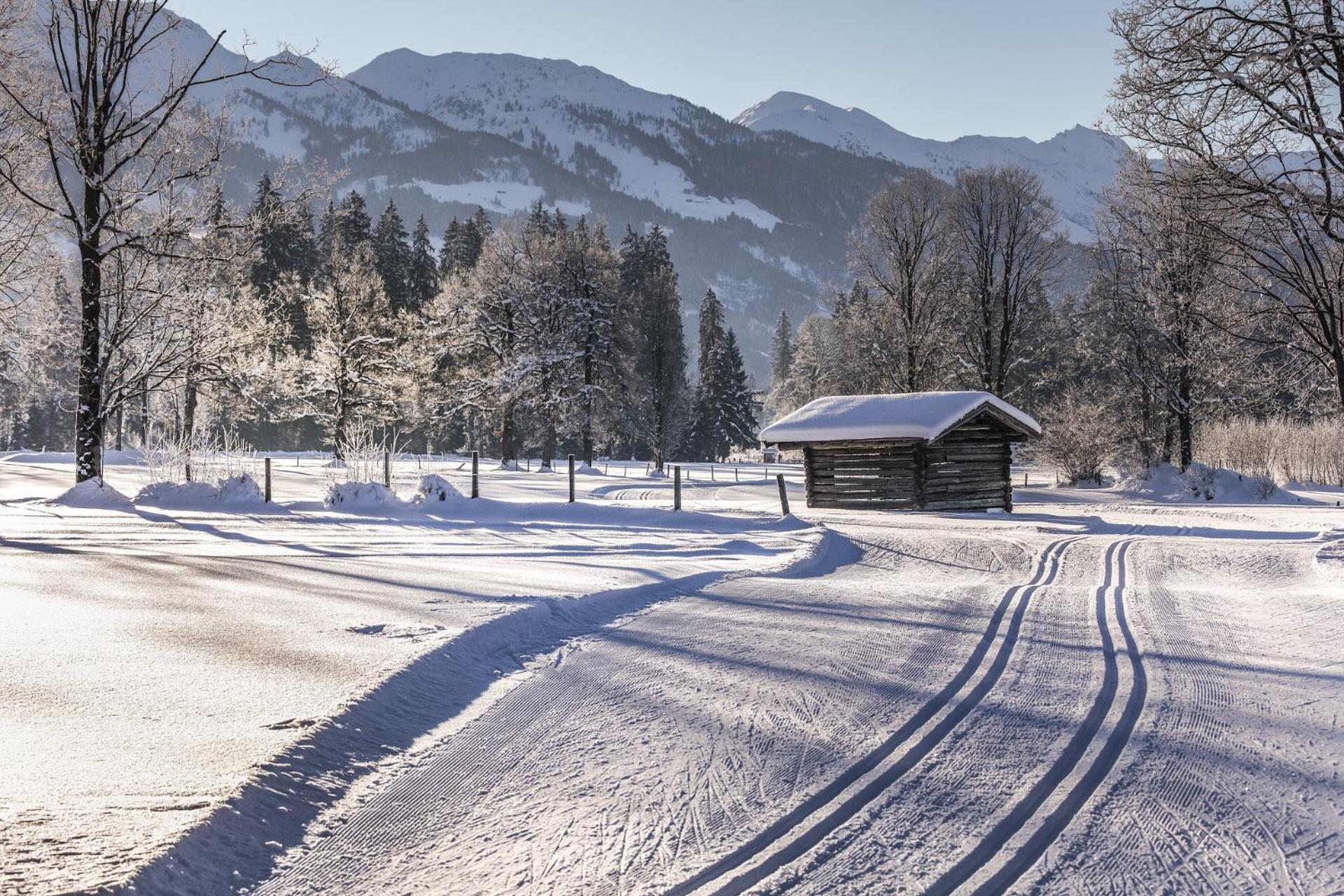 Pension Wolfsegg Kirchberg in Tirol Exteriér fotografie